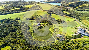 Aerial view on a vineyard on the shore of sunny harbour with residential suburbs on the background. Waiheke Island, Auckland, New