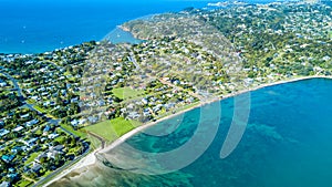 Aerial view on a vineyard on the shore of sunny harbour with residential suburbs on the background. Waiheke Island, New Zealand