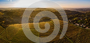 Aerial view, Vineyard Sunrise in autumn, Bordeaux Vineyard, France