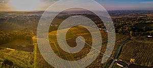 Aerial view, Vineyard Sunrise in autumn, Bordeaux Vineyard, France