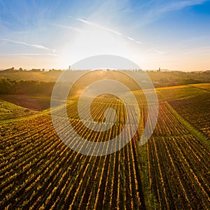 Aerial view, Vineyard Sunrise in autumn, Bordeaux Vineyard, France