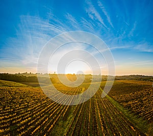 Aerial view, Vineyard Sunrise in autumn, Bordeaux Vineyard, France