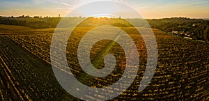 Aerial view, Vineyard Sunrise in autumn, Bordeaux Vineyard, France