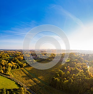 Aerial view, Vineyard Sunrise in autumn, Bordeaux Vineyard, France