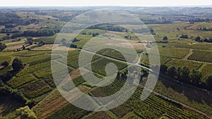 Aerial view, Vineyard Sunrise in summer, Sainte Croix du Mont, Bordeaux Vineyard, Gironde, Aquitaine