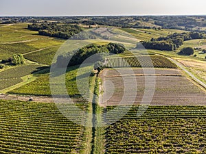 Aerial view, Vineyard Sunrise in summer, Sainte Croix du Mont, Bordeaux Vineyard, Gironde, Aquitaine