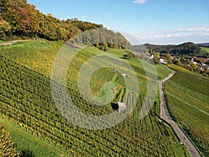 Aerial view of Vineyard in Weinberg during an autumn