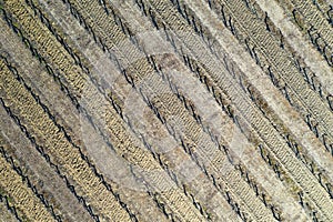 Aerial view,  vineyard in winter