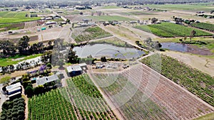 Aerial view of vineyards in Australia