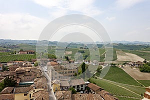 Aerial view of the vineyards of Barbaresco, Piedmont.