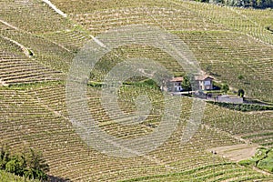 Aerial view of the vineyards of Barbaresco, Piedmont.