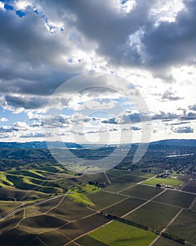 Aerial View of Vineyards in California