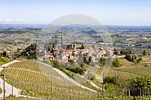 Aerial view of the vineyards of Castiglione Tinella, Piedmont.