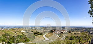 Aerial view of the vineyards of Castiglione Tinella, Piedmont.