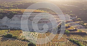 Aerial view of vineyards growing on mountain slopes.