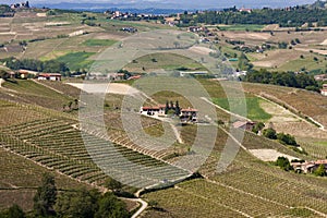 Aerial view of the vineyards of Langhe, Piedmont.