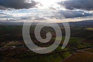 Aerial View of Vineyards in Livermore, California photo