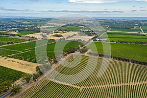 Aerial view of vineyards at McLaren Vale in Australia