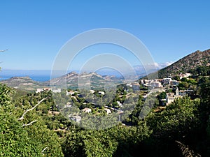 Aerial view of the vineyards in the Patrimonio hills, Corsica, France. photo