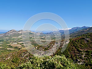 Aerial view of vineyards in Patrimonio hills, Corsica, France. photo