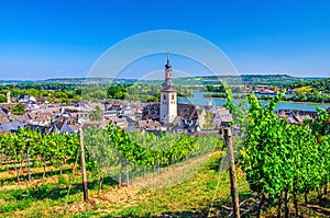 Aerial view of vineyards Rheingau wine region, Rudesheim am Rhein historical town centre