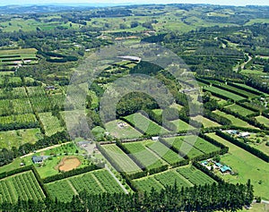 Aerial view of Vineyards and Rural Farms