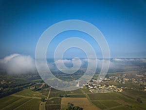 Aerial view Vineyards in the sunshine, Vineyards of Loupiac, Bordeaux Vineyards
