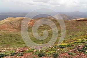 Aerial view of volcano crater, Lanzarote, Spain