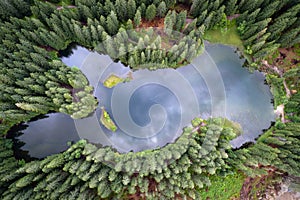 Aerial view of Vrbicke pleso tarn in Low Tatras mountains