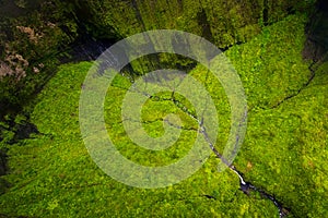 Aerial view of water streams, river and lush landscape, Kauai