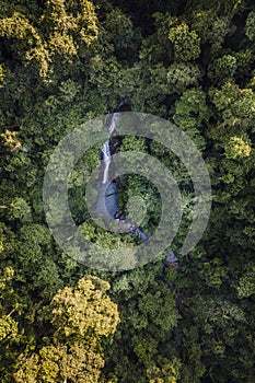 Aerial view of waterfall surrounded by jungle