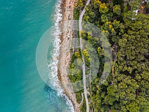 Aerial view of waves washing the beachline with a dense forest