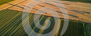 Aerial view of wheat and corn fields at sunset. Parallel lines and haystacks, image of agriculture in Normandy - green and gold