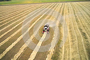 Aerial view of a wheat field and a small combine harvester collecting previously mown ears. Copy space