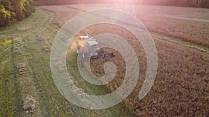 Aerial view of wheat harvest, combine harvester working on wheat field. Wheat harvesting by agricultural machinery on