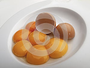 Aerial view of a white plate with six eggs and a shell