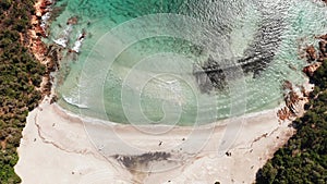 Aerial view of white sand beach, blue sea, marine vegetation,waves,trees and red rocks. abstract sea green shades coral