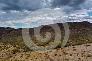 Aerial view wild west landscape with a cactus view of desert valley mountains in the Arizona, United States