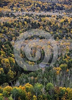 Aerial view of wilderness around Greys creek in Michigan upper Peninsula from Copper peak during autumn time photo
