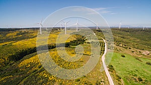 Aerial view of Wind Generating stations in green fields on a background of blue sky. Portugal.