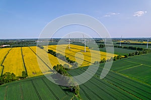 Aerial view Wind turbine on grassy yellow farm canola field against cloudy blue sky in rural area. Offshore windmill