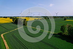 Aerial view Wind turbine on grassy yellow farm canola field against cloudy blue sky in rural area. Offshore windmill