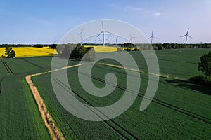 Aerial view Wind turbine on grassy yellow farm canola field against cloudy blue sky in rural area. Offshore windmill