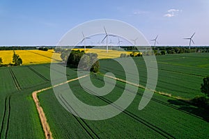 Aerial view Wind turbine on grassy yellow farm canola field against cloudy blue sky in rural area. Offshore windmill