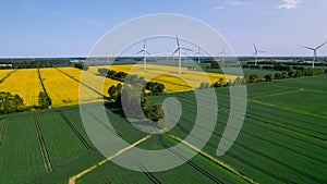 Aerial view Wind turbine on grassy yellow farm canola field against cloudy blue sky in rural area. Offshore windmill