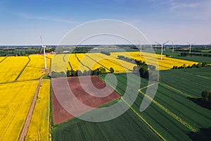 Aerial view Wind turbine on grassy yellow farm canola field against cloudy blue sky in rural area. Offshore windmill