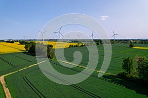 Aerial view Wind turbine on grassy yellow farm canola field against cloudy blue sky in rural area. Offshore windmill