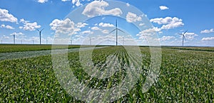 Aerial view of wind turbines in corn field