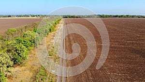 Aerial view of Windbreak between the fields.