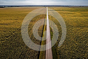 Aerial view of a winding country road cutting through a vast expanse of  green fields